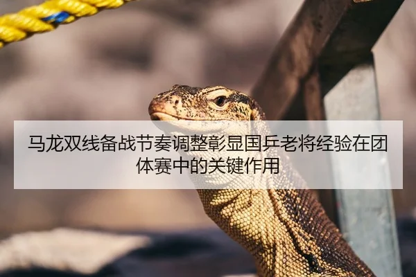 马龙双线备战节奏调整彰显国乒老将经验在团体赛中的关键作用
