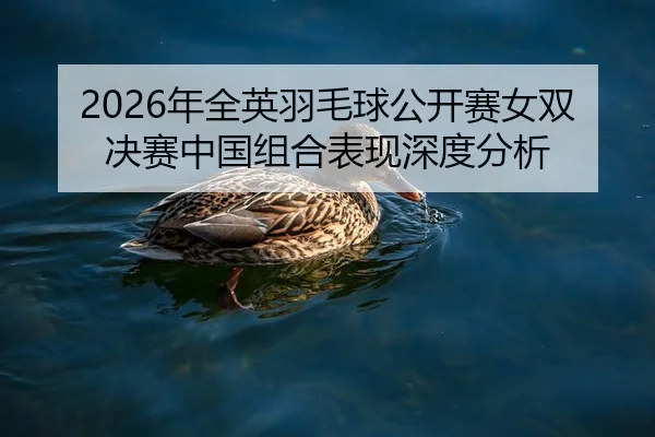 nian-quan-ying-yu-mao-qiu-gong-kai-sai-nv-shuang-jue-sai-zhong-guo-zu-he-biao-xian-shen-du-fen-xi-2-334.jpg