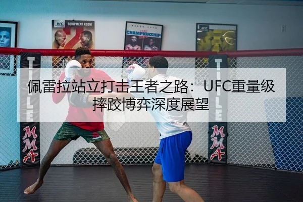 佩雷拉站立打击王者之路：UFC重量级摔跤博弈深度展望