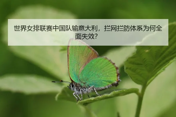 shi-jie-nv-pai-lian-sai-zhong-guo-dui-shu-yi-da-li-lan-wang-lan-fang-ti-xi-wei-he-quan-mian-shi-xiao-3-962.jpg